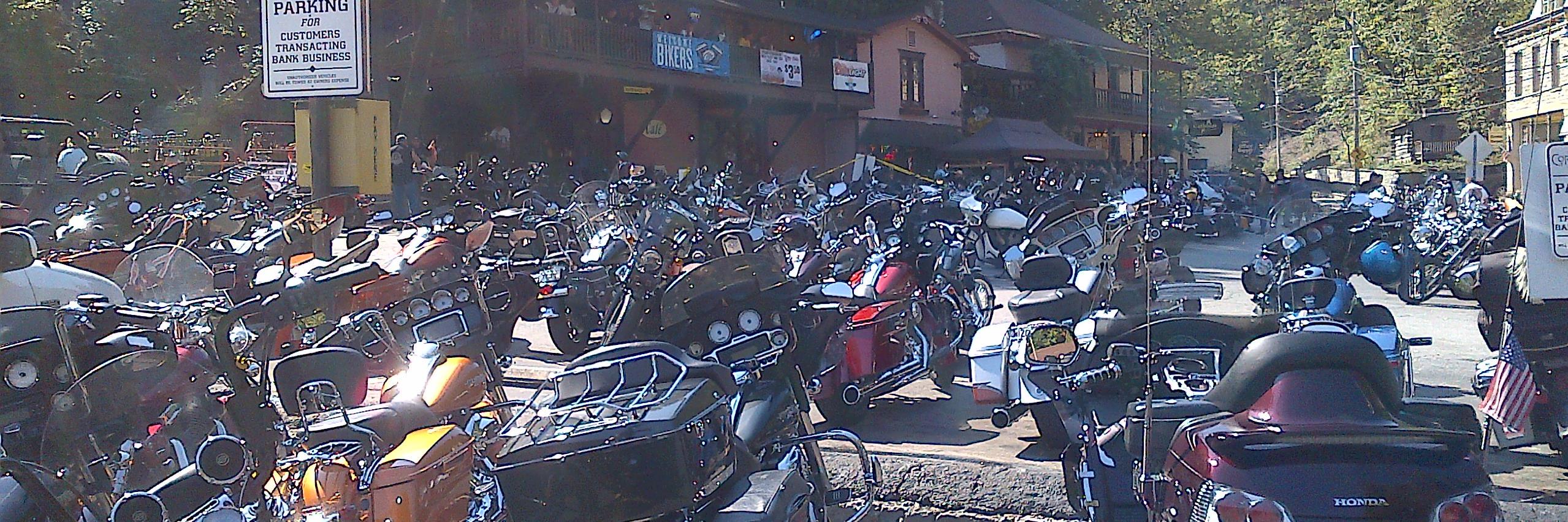 Carol - @psLovesToRide banner