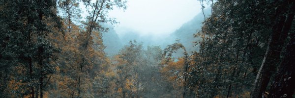 danieldennismx Profile Banner