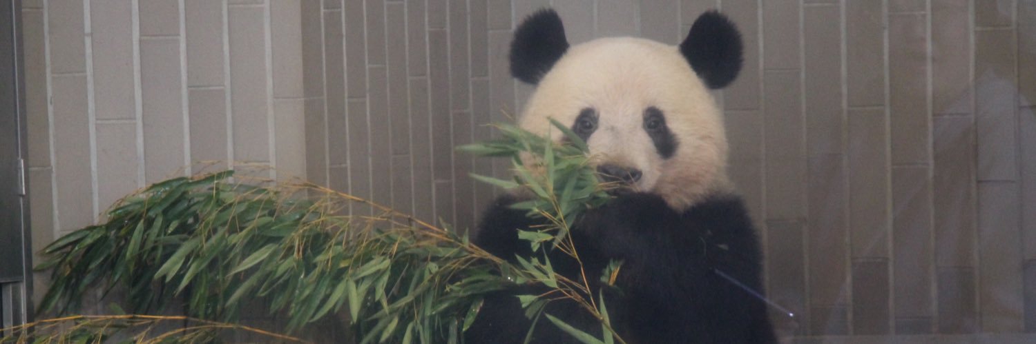 SweetXiang's profile banner image