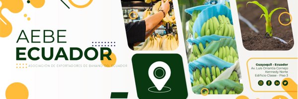 aebeecuador Profile Banner