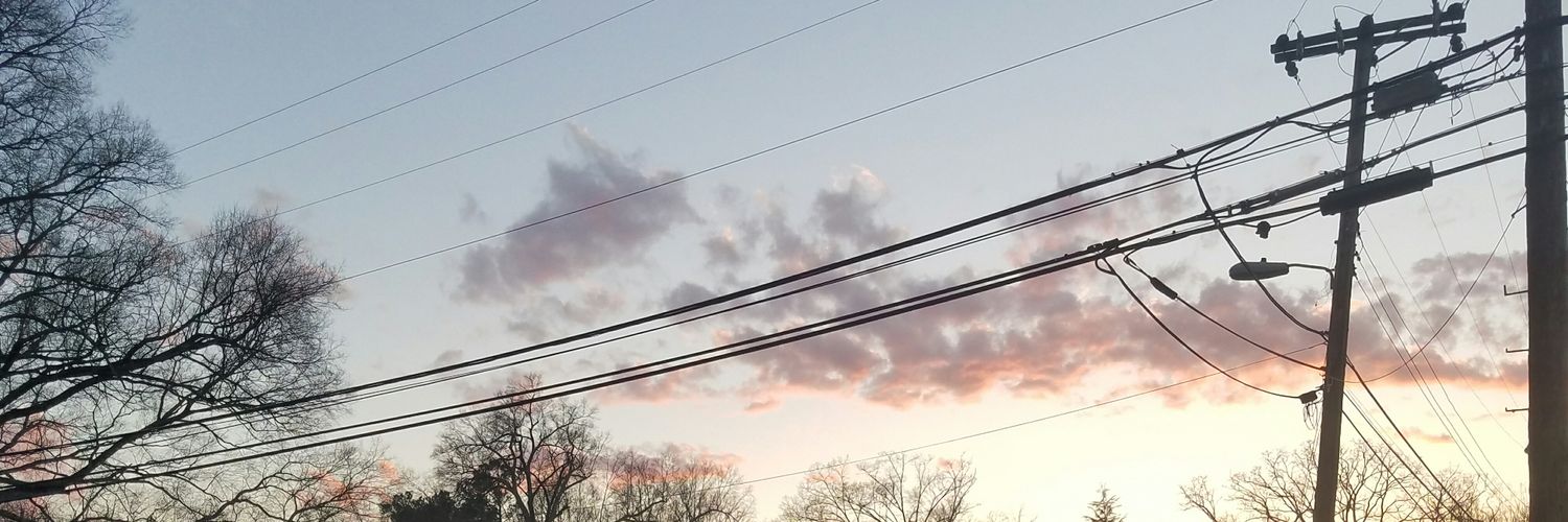 Cam - regnegade banner