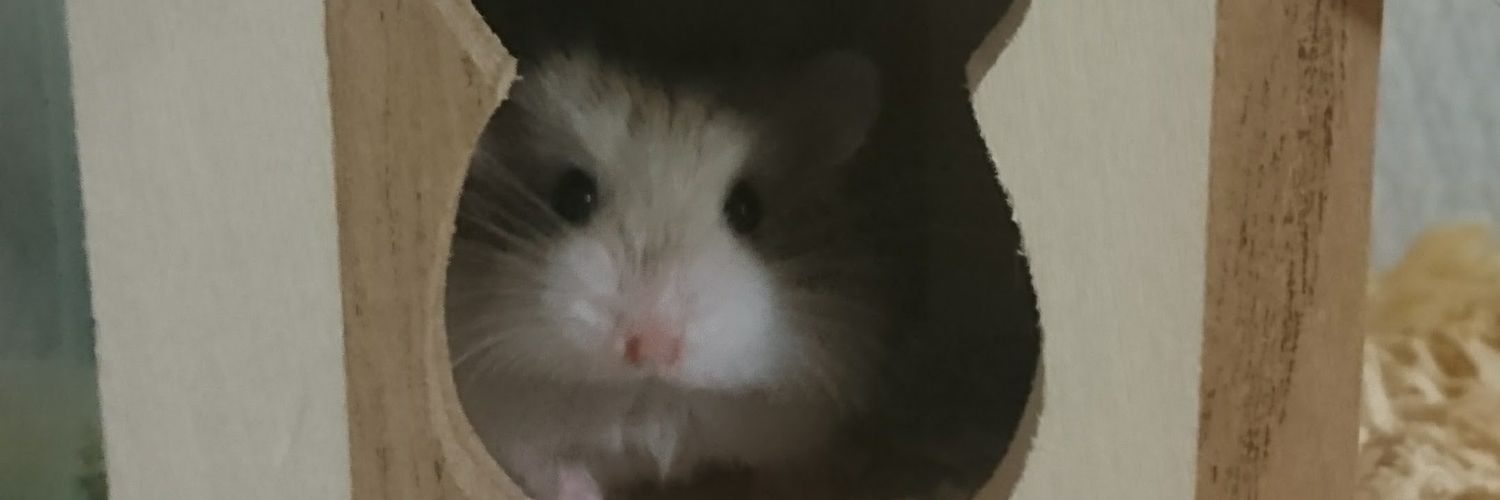 yukiusagi4's profile banner image