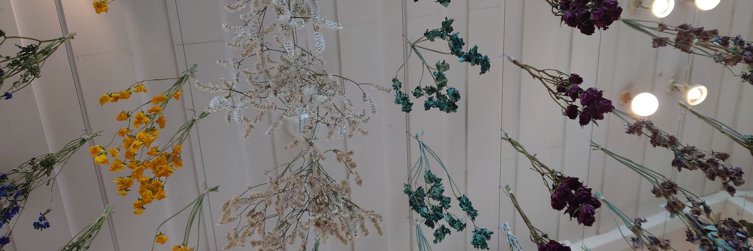 haru634's profile banner image
