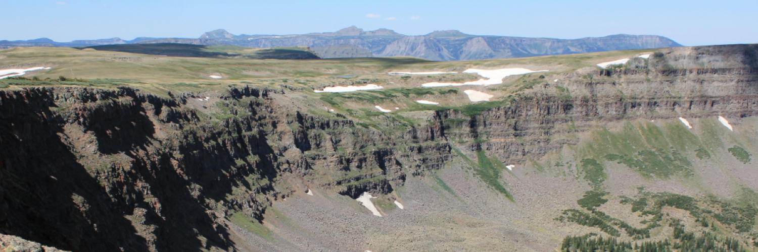 Andrew Warren banner