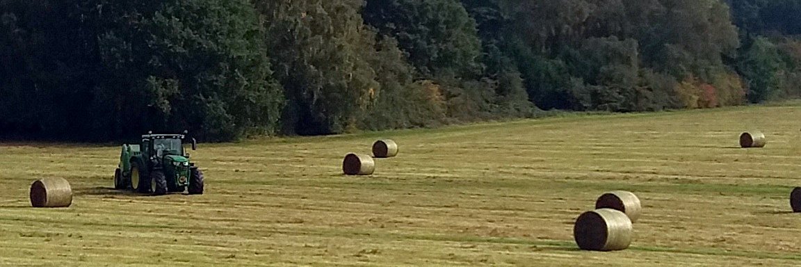 CrikeyIt'sCroydon banner