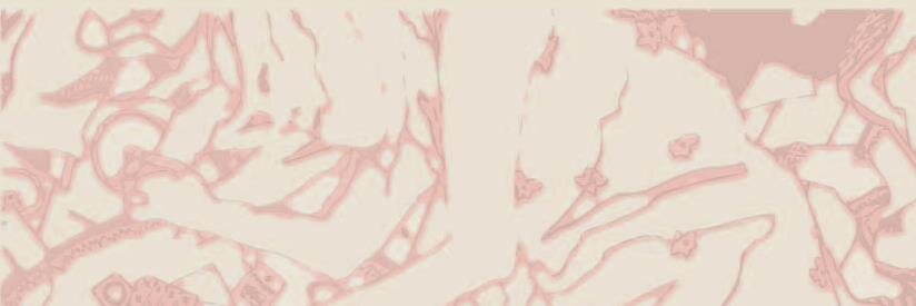 NO.05 藤島えり子 banner