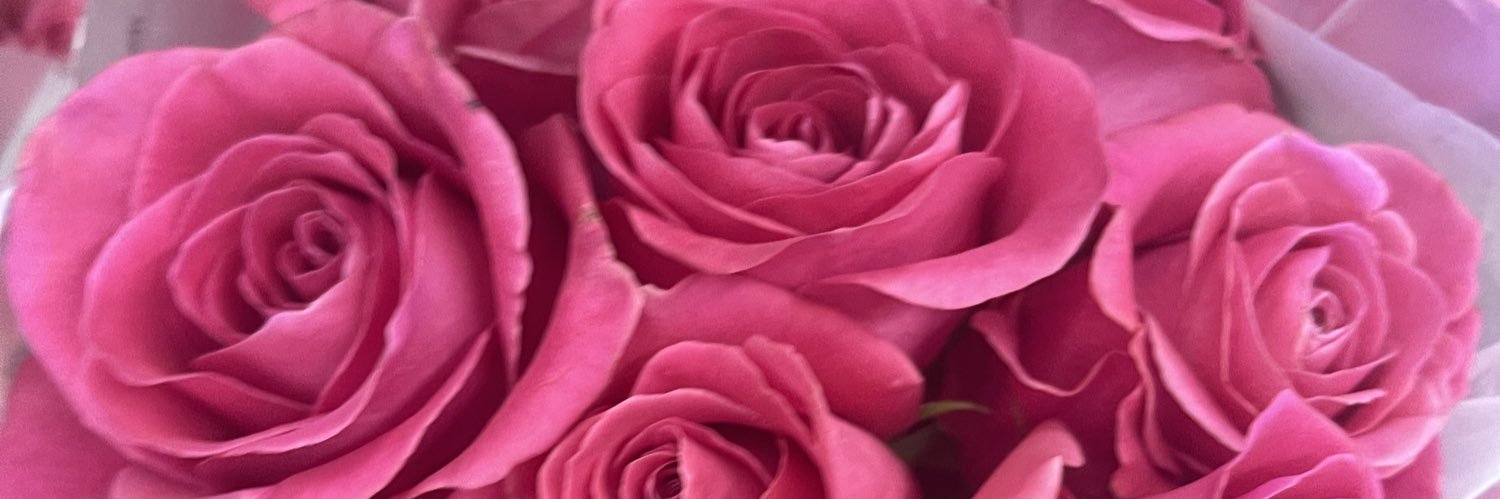 haley_ward22's profile banner image