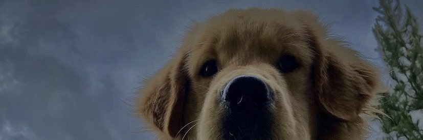 ibbbbi_'s profile banner image