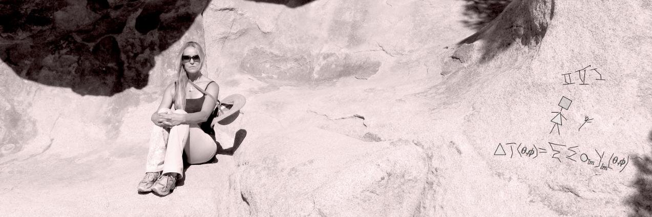liz jensen banner