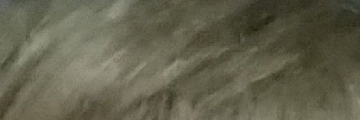 adrie banner