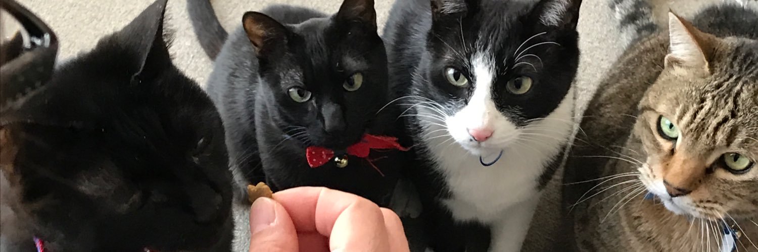 gt_take4's profile banner image