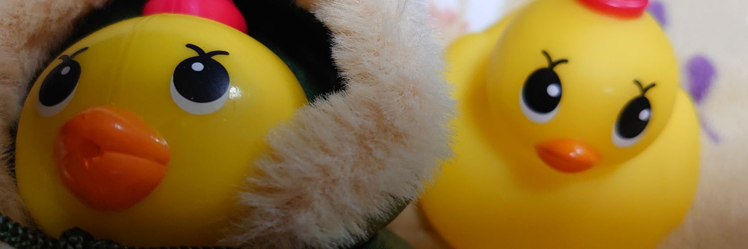 an719's profile banner image