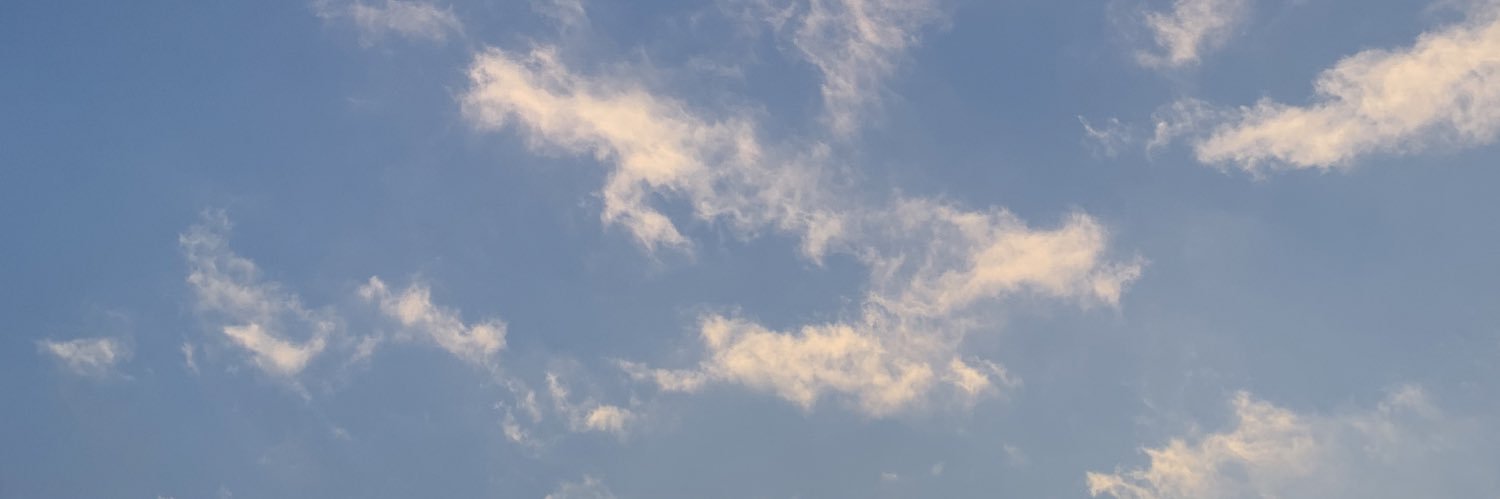 さこ's banner
