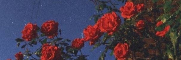 adlynz banner