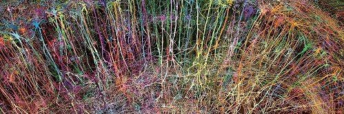 PT. Mohammed Alabbas banner