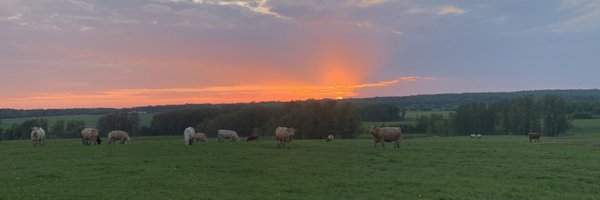 thomasbowman_ Profile Banner