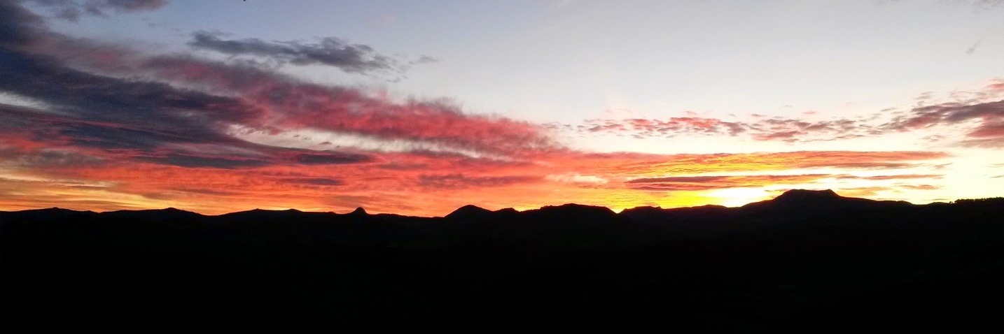 T.Tondering 🔬 banner