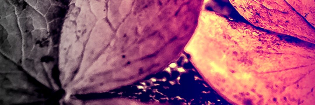 alyhalflatina's profile banner image