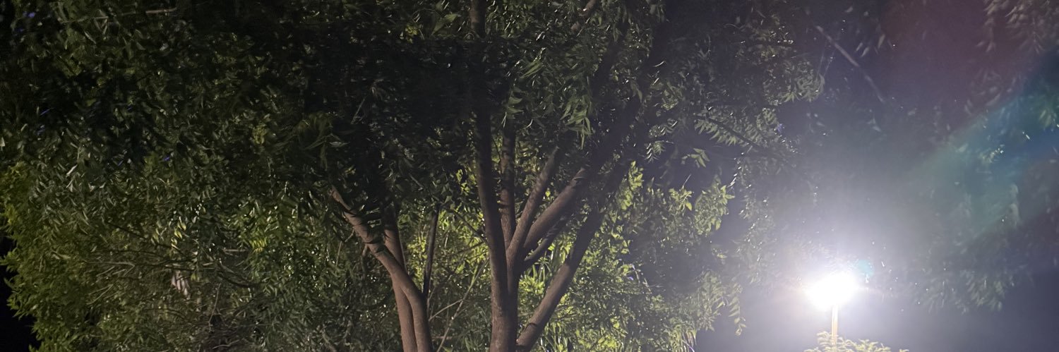 lorg85's profile banner image