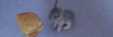 gingybee_'s profile banner image