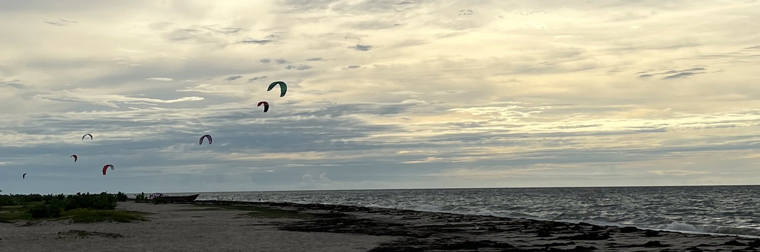 angietat_'s profile banner image