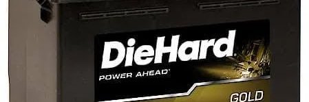 D.A.N banner