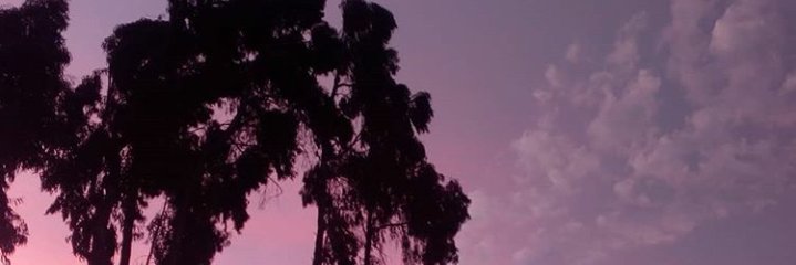 paulmoshe77's profile banner image