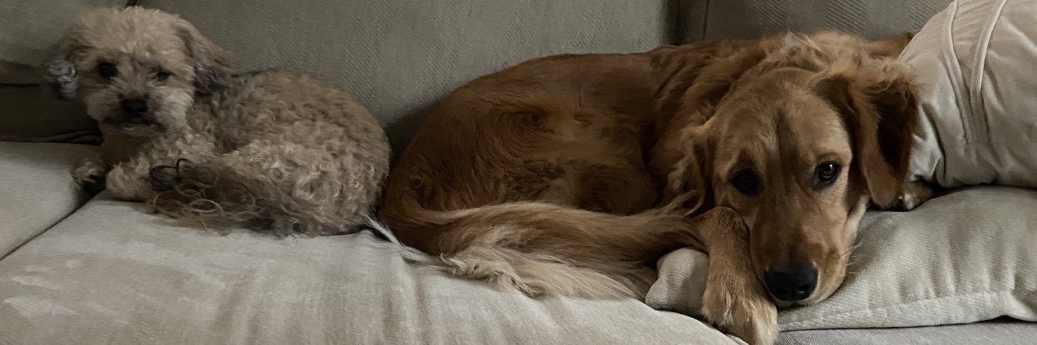 JakePase's profile banner image