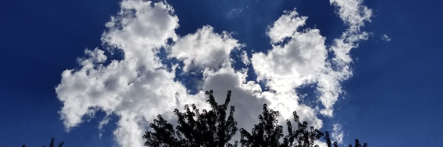 ishydsquishy's profile banner image