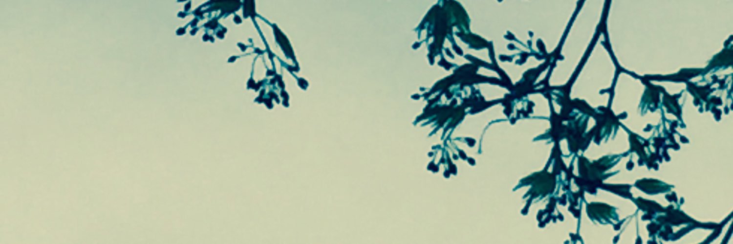 Fuyukoboshi's profile banner image