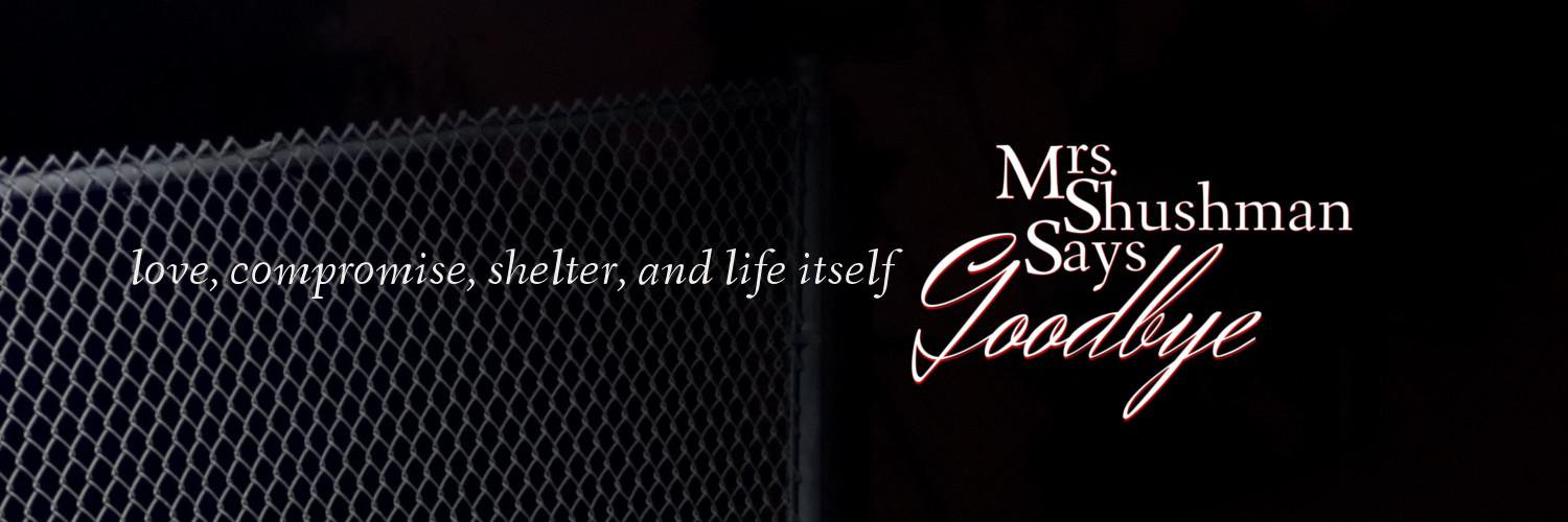 A. M. Metivier @ammetivier.bsky.social banner