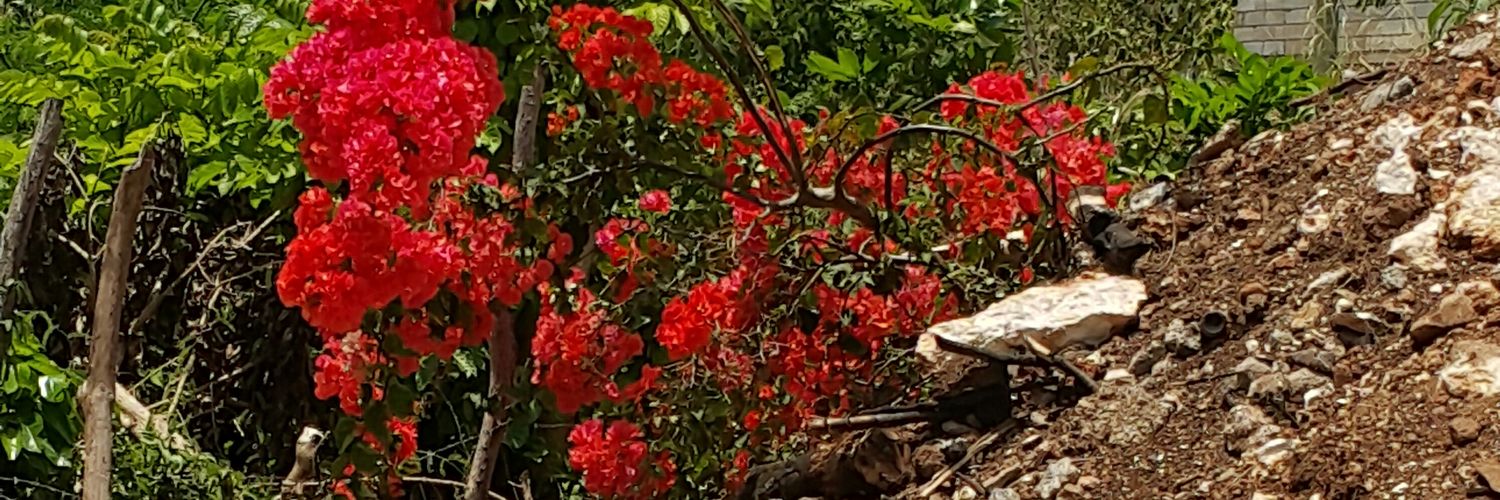 Creative Side banner