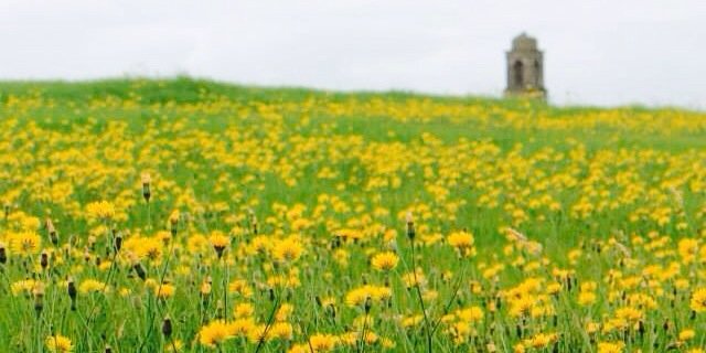 bethanknights's profile banner image