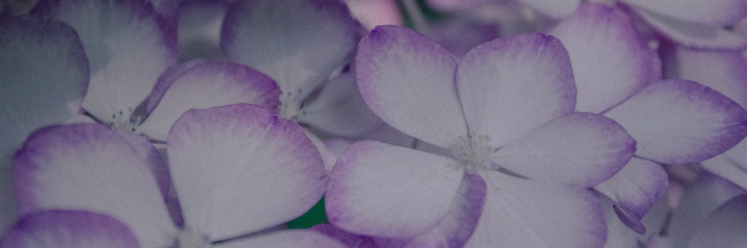 Yuina/webデザイン banner