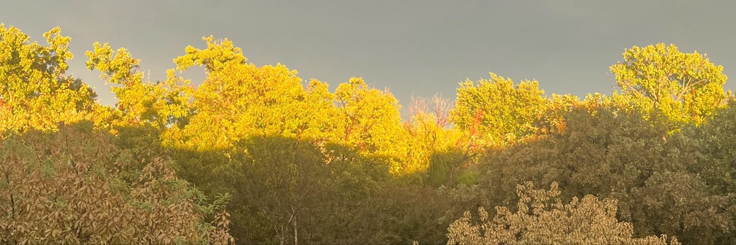 Liukangfly's profile banner image