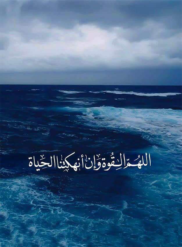 RehamHesham14's profile banner image