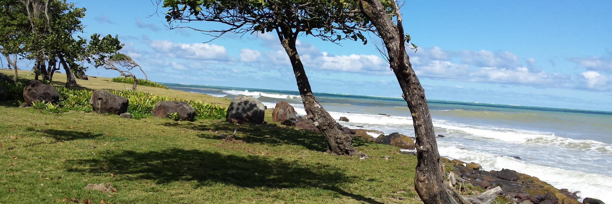 coconews9's profile banner image
