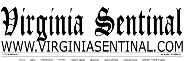 VirginiaSent Profile Banner