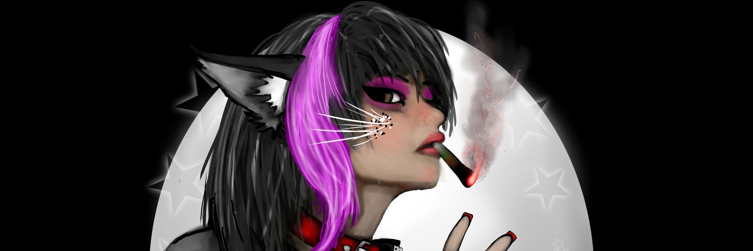 SithKittenGaming's banner
