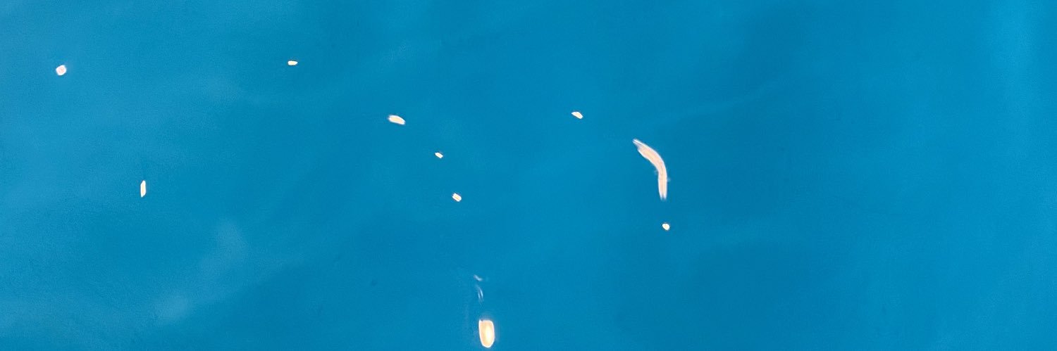 stich_______'s profile banner image