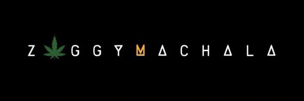 ziggymachala Profile Banner