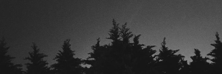 shadowblood_'s profile banner image