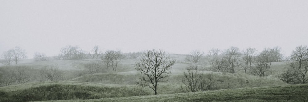 nabudeul's profile banner image