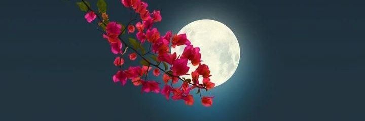 MuqeemAzizi's profile banner image