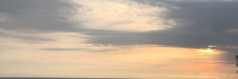 mariumsummer's profile banner image