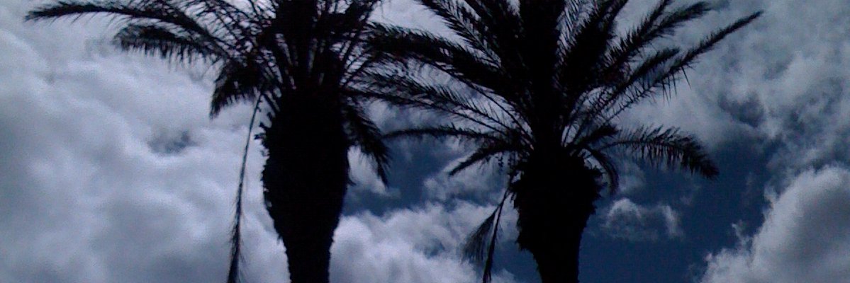 Danny_lidgate's profile banner image