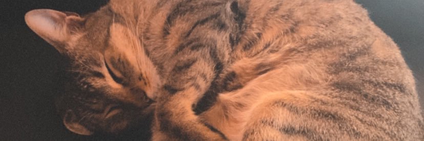 polnalgas's profile banner image