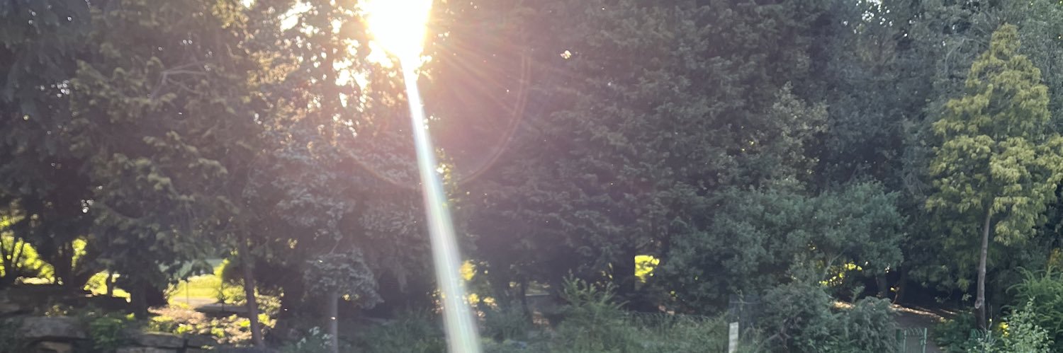 s‧₊˚✩'s banner