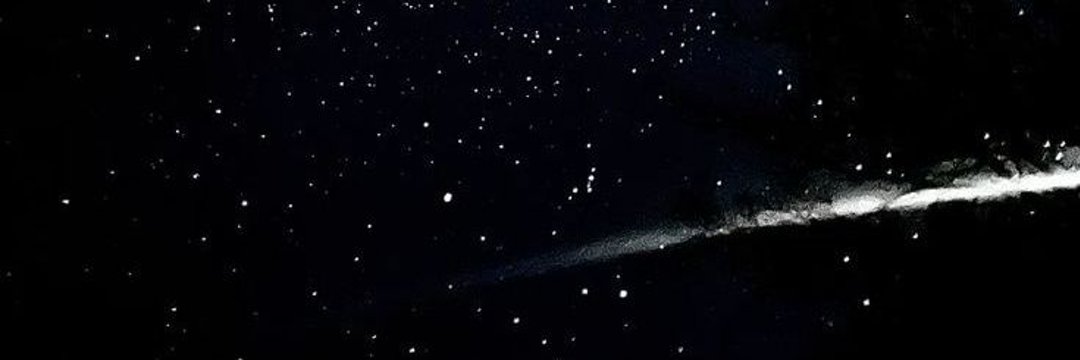 Danie banner