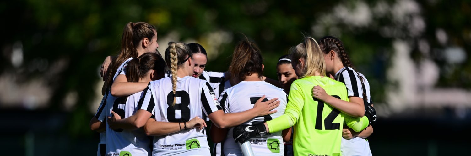 Pontardawe Ladies FC banner